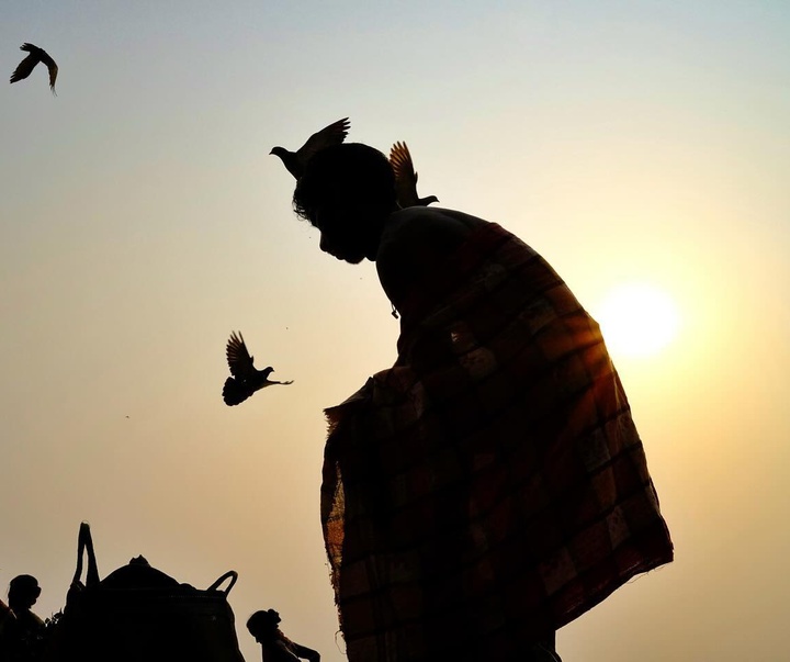 Gallery of Photography by Santanu Dey - India