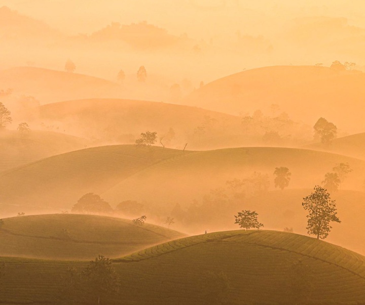 Gallery of Photography by Tran Tuan Viet - Vietnam