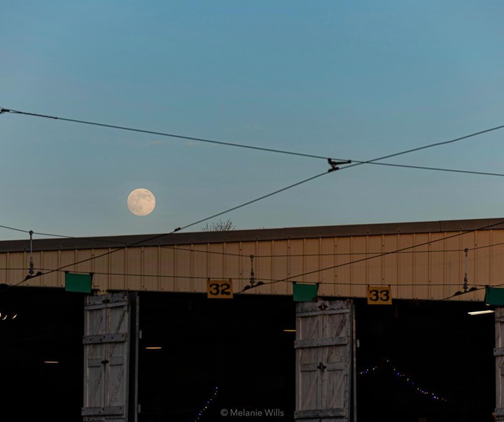 Gallery of Photography by Melanie Wills - Canada