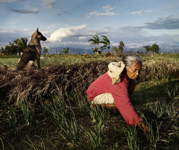 Gallery of photo by Pep Bonet from Espain