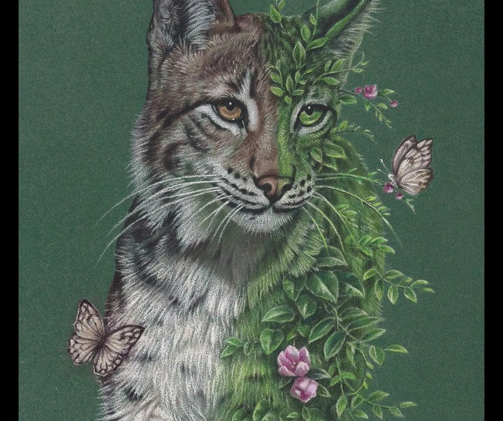 Gallery of painting by Satu Manninen from Finland