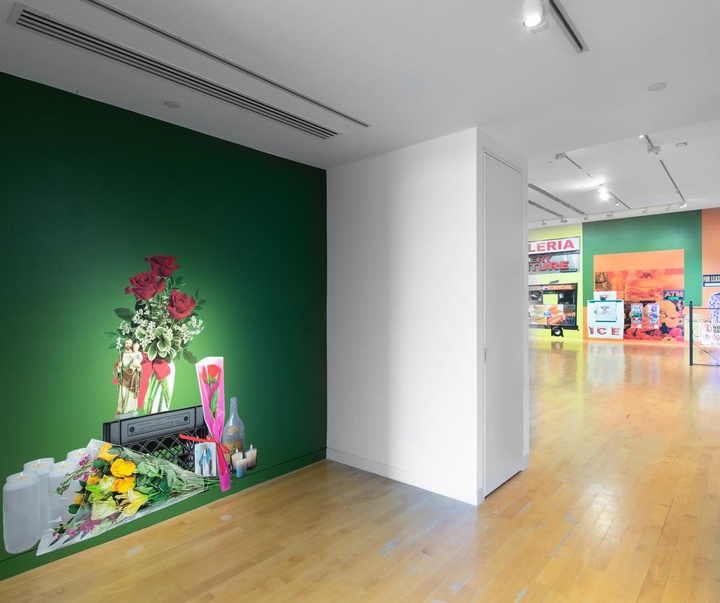Gallery of Modern Art by Lucia Hierro - Dominican American