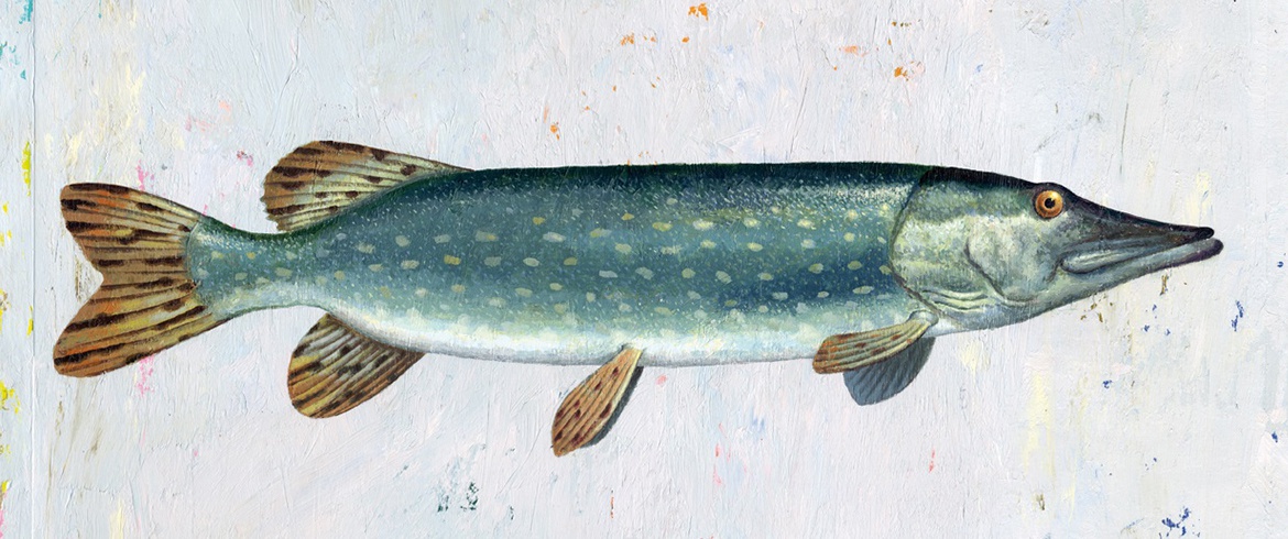 Gallery of Illustration by Martin Jarrie - France