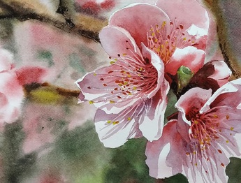 Gallery of Watercolor painting by Diego Eguinlian- Argentina