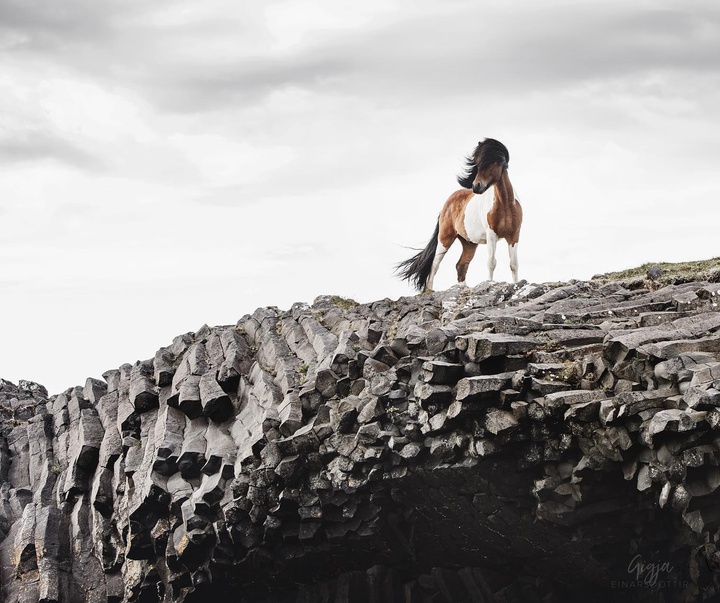 Gallery of Photography by Gigja Einars - Iceland
