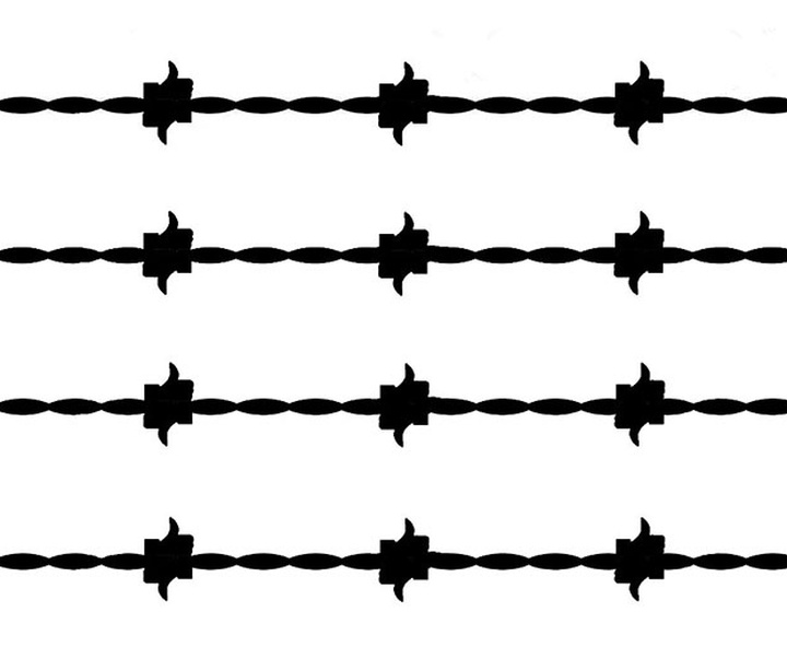 First Selection of the International Cartoon Contest “Terror Online”