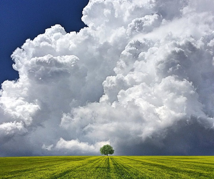 Gallery of Photography by Benjamin Wolf - USA
