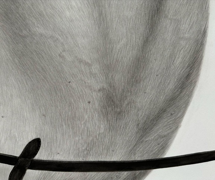 Gallery of Drawing & Painting by Kit King - Canada