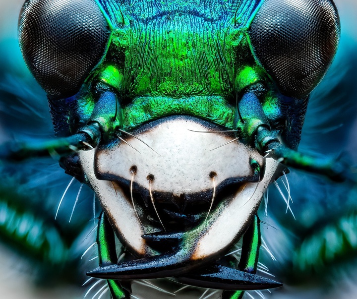 Gallery of Photography by Ben Salb - USA