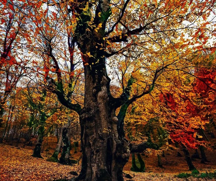 Gallery of Landscape Photography by Mojtaba Dori-Iran