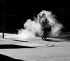 Gallery of Photography by Mania De Praeter - Belgium
