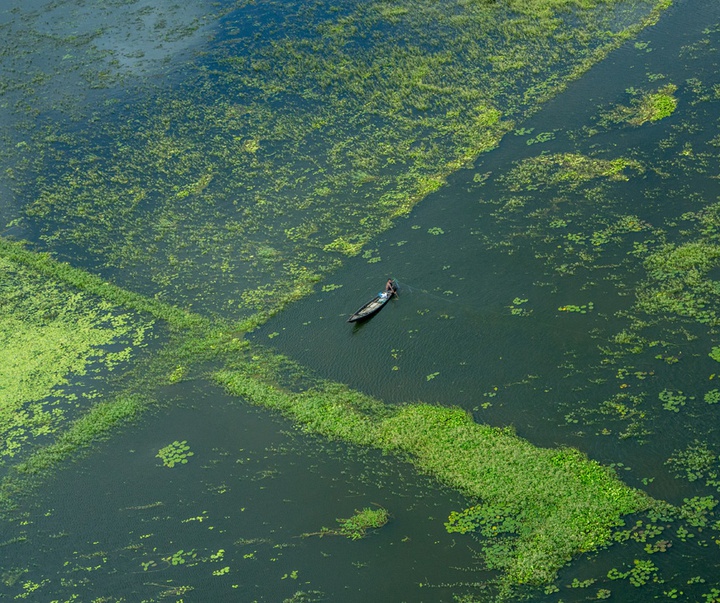 Gallery of Photography by Shamim Shorif Susom - Bangladesh