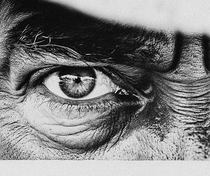 Gallery of Photography by Marcus Wallinder