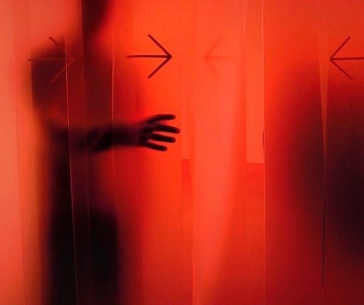 Gallery of Photography by Peter Rask