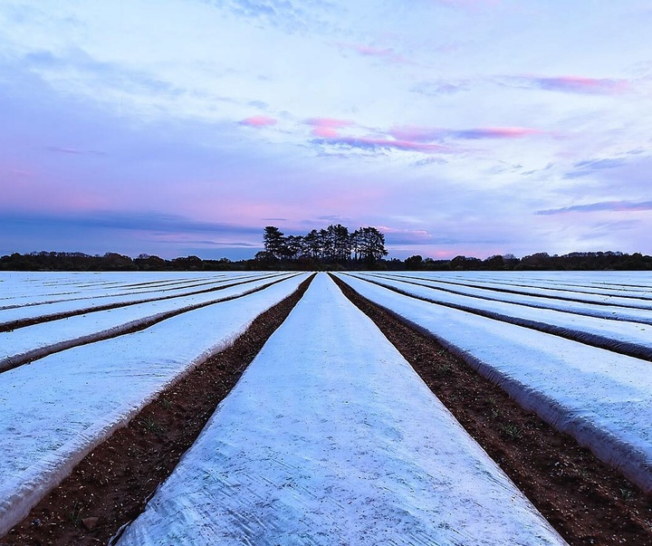 Gallery of Photography by Emma Steele
