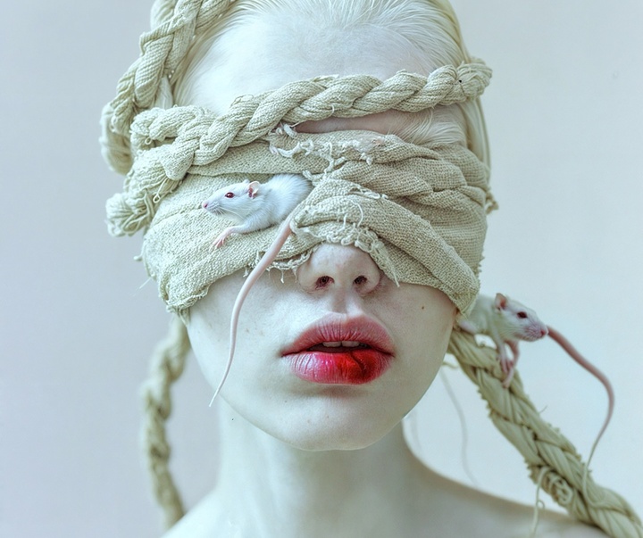 Gallery of Modern Art by Mira Nedyalkova - Bulgaria