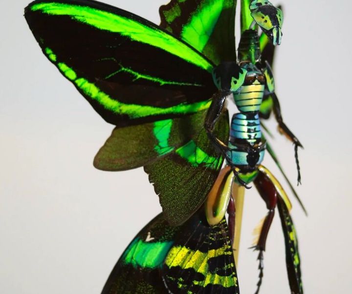 Gallery of Sculpture by Cedric Laquieze - USA