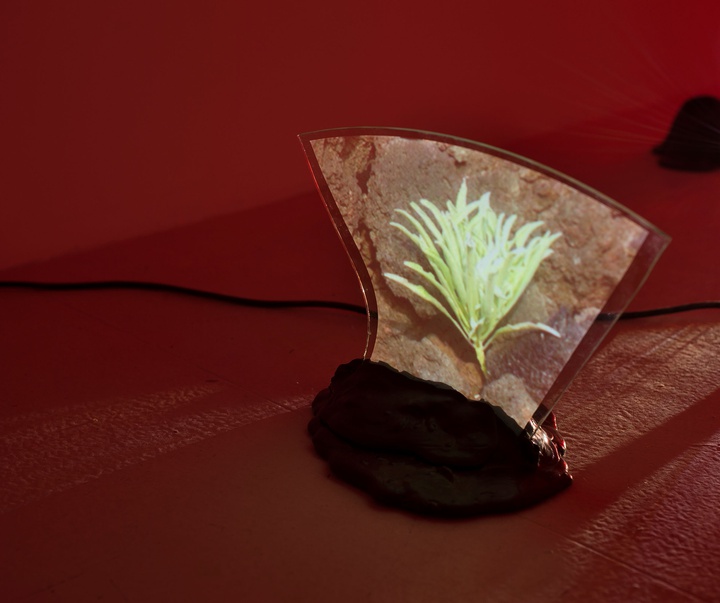 Gallery of Modern Art by Adrien Missika - France