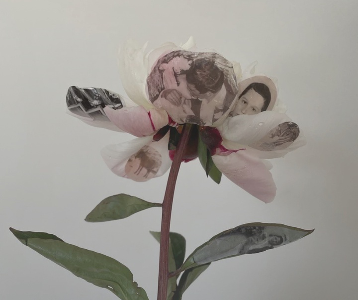 Gallery of Modern Art by Polina Osipova - Russia
