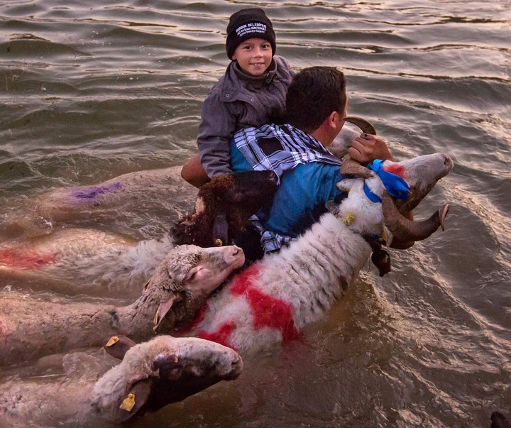 Gallery of Photos by Aygul Ozturk-Turkey