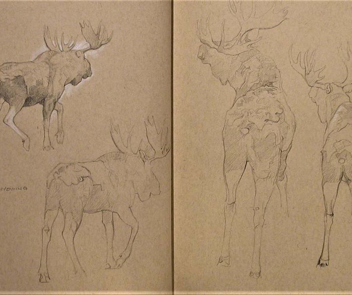 Gallery of Drawing by John Perry Baumlin- American