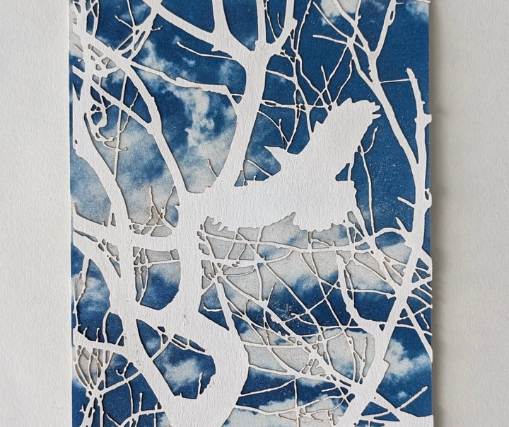 Gallery of Painting & Photography by Jane Constable - UK