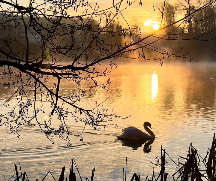 Gallery of Photography by Charlie Hamilton James - UK