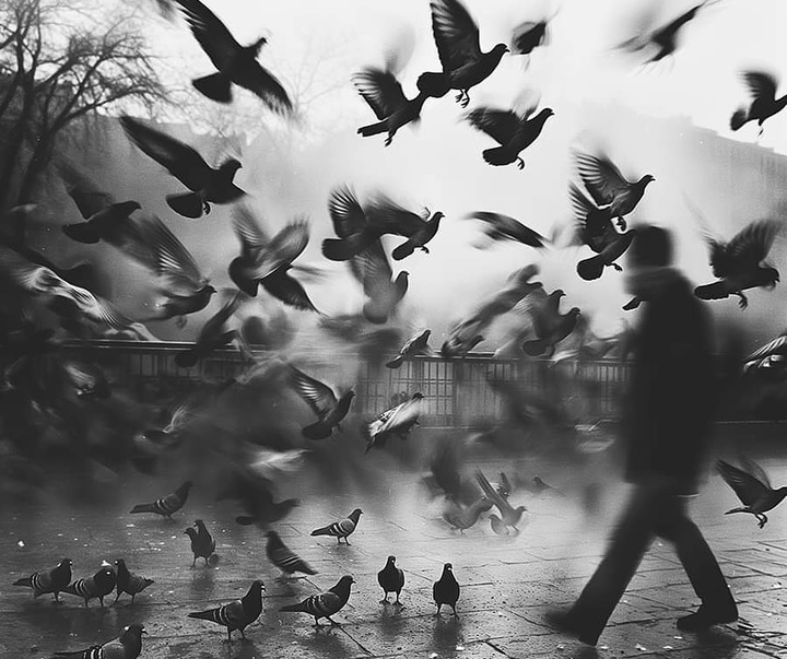 Gallery of Photography by Helena Georgiou - Cyprus