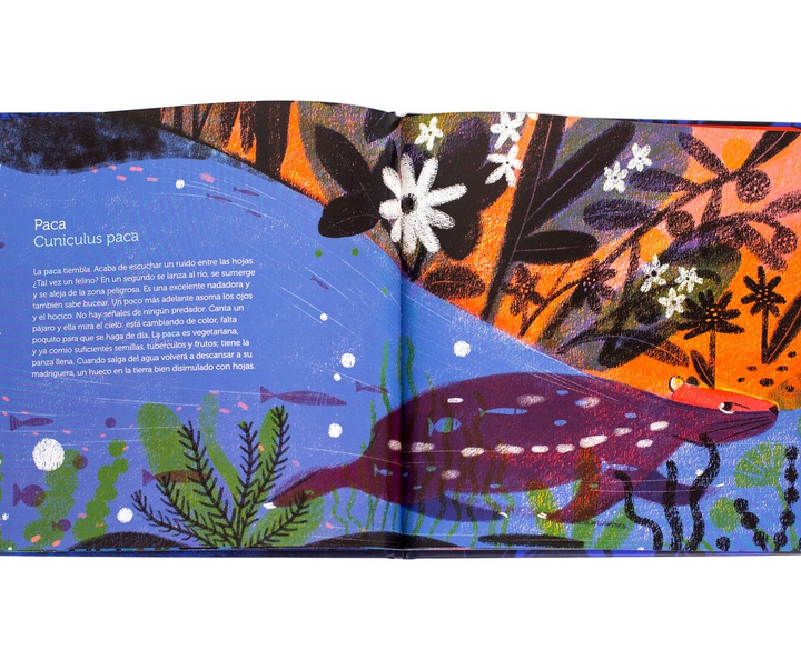 Gallery of Illustration by Cynthia Alonso - Argentina
