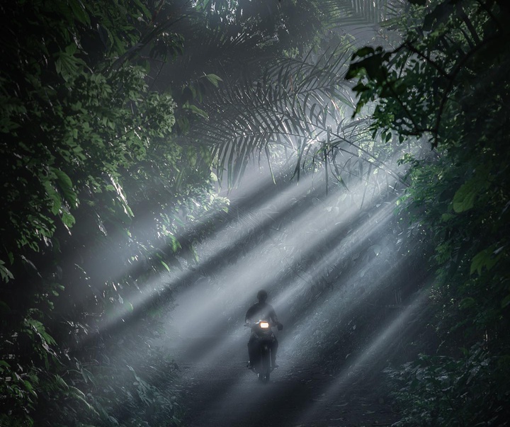 Gallery of photography by Harry Pope - Australia