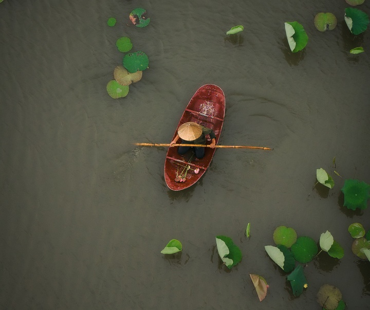 Gallery of Photography by Chris Ha - USA