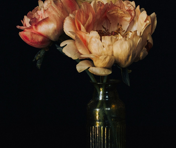 Gallery of Photography by Joe Clarke - UK