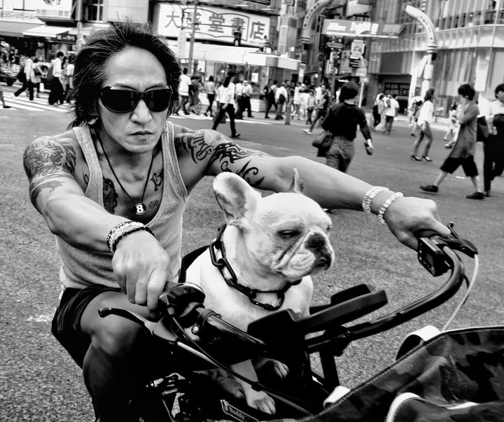 Gallery of Photography by Tatsuo Suzuki - Japan