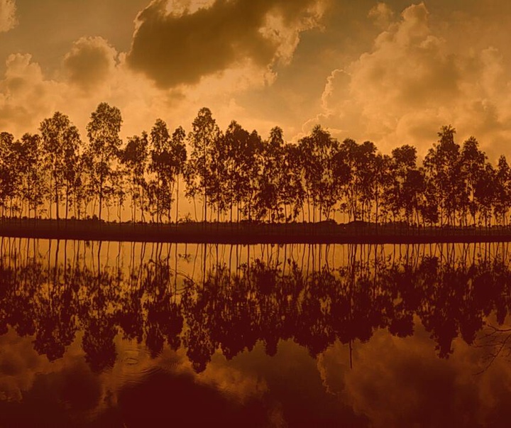 Gallery of Photography by Shamim Shorif Susom - Bangladesh