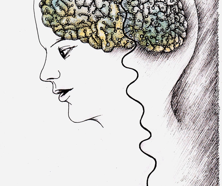 First Selection of the International Cartoon Contest “Terror Online”