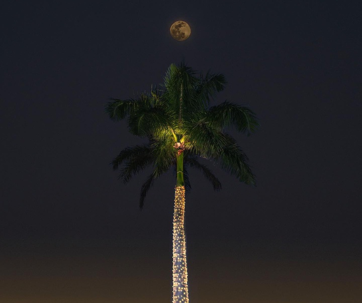 Gallery of photography by Kanghee Kim-South Korea