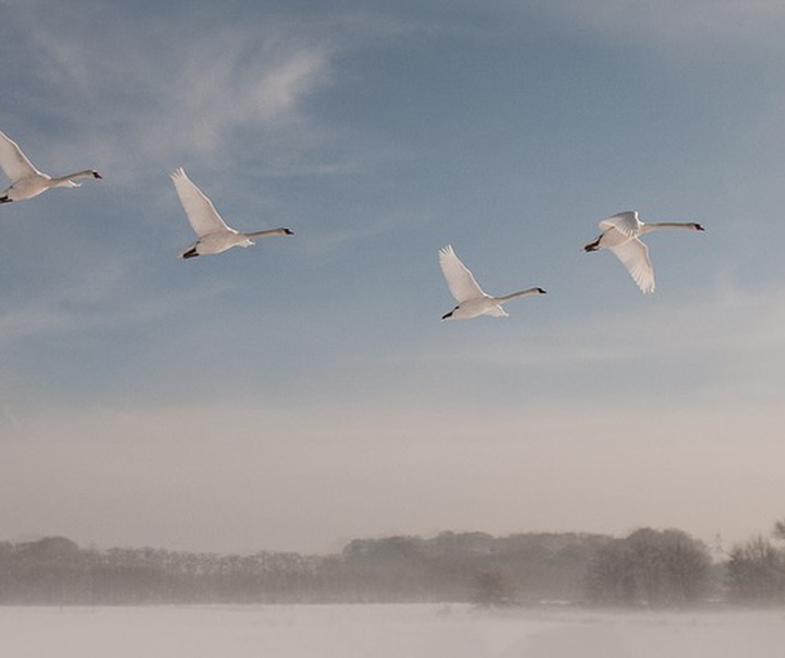 Gallery of Photography by René Dissel - Netherlands