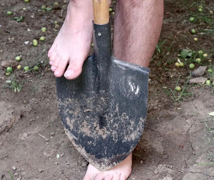 Stefan Visan