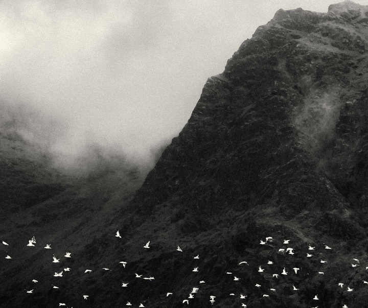 Gallery of Photography by Joe Clarke - UK