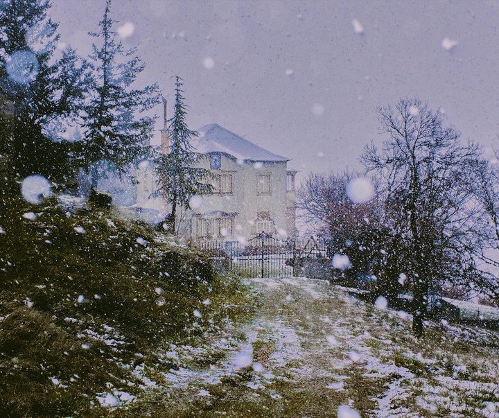Gallery of Photography by Henri Prestes - Portugal