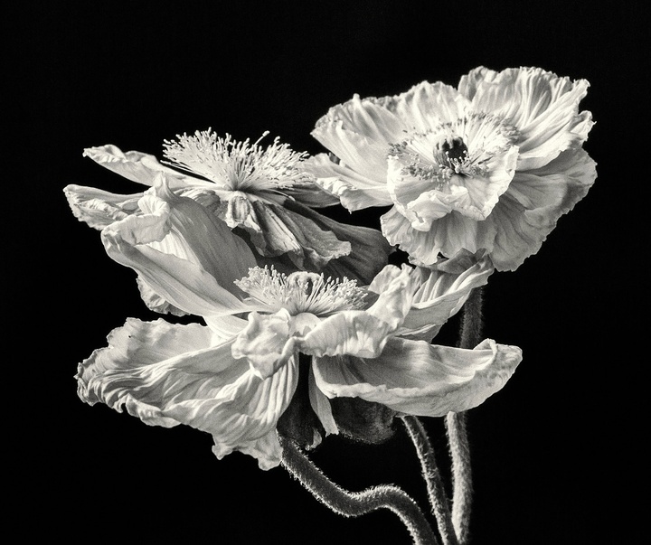 Gallery of Photography by Joe Clarke - UK