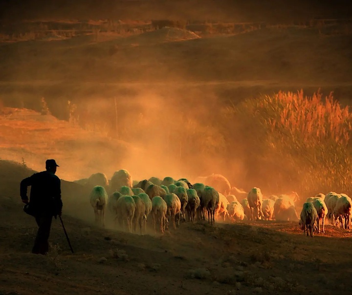 Gallery of photography by Mustafa Shahbaz - Turkey