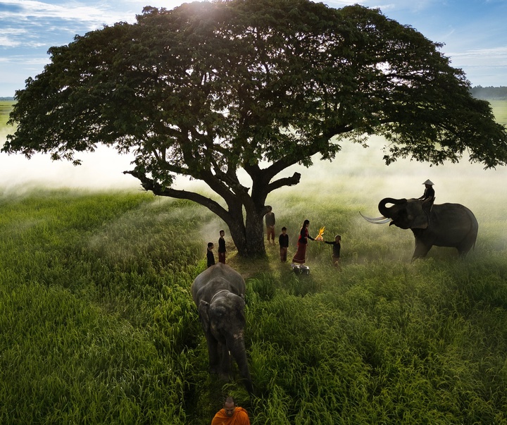 Gallery of Photography by Mahendra Bakle - India
