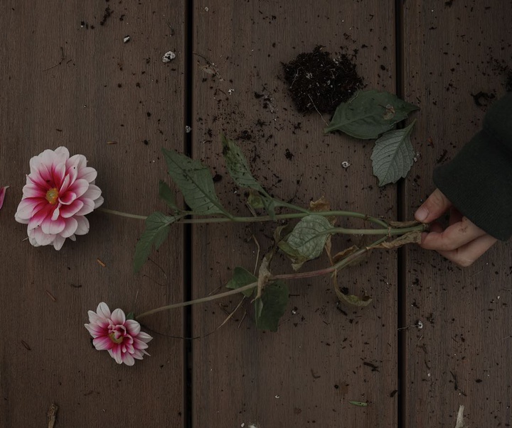 Gallery of Photography by Alejandra Rajal - Mexico