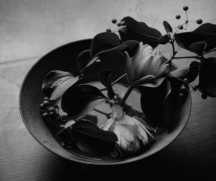 Gallery of Photography by Jonas Bjerre-Poulsen - Denmark
