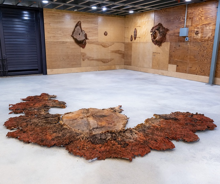Gallery of Modern Art by Carlie Trosclair - USA