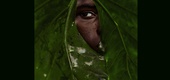 Gallery of Photography by Michael Aboya - Ghana