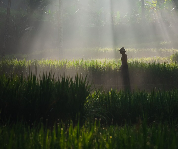 Gallery of Photography by Jord Hammond - UK