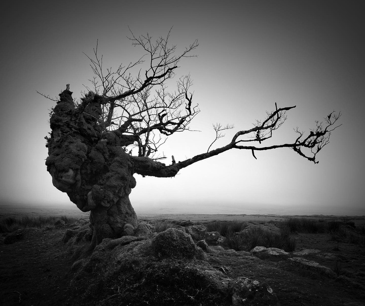 Gallery of photography by Noel Bodle - England