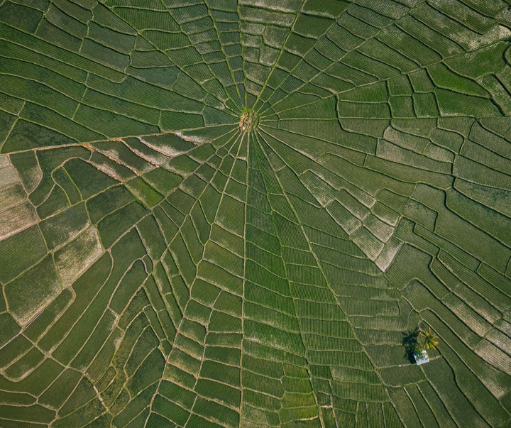 Gallery of Photography by Mahendra Bakle - India